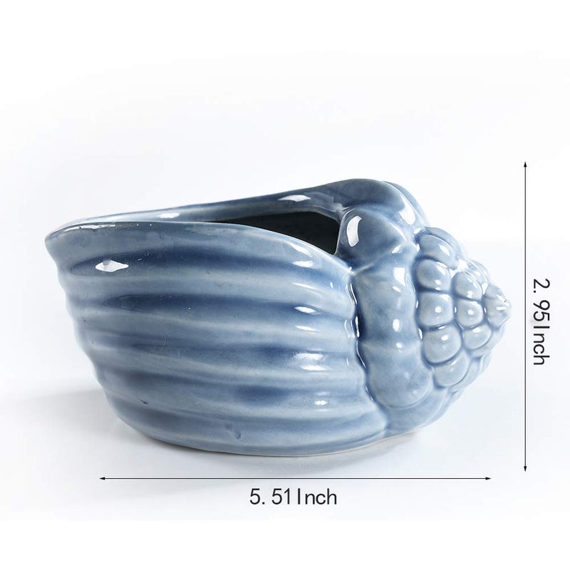 SE SUN-E Bonsai Pots 5.5 Inch Blue Conch Ocean Series Ceramic Base Serial Set Succulent Plant Pot Cactus Plant Pot Flower Pot Container Planter With Drainage Hole Gift Idea 4 In Set(Plants Not Included) - Image 5